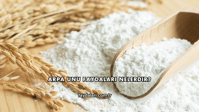 Arpa Unu Faydaları Nelerdir?