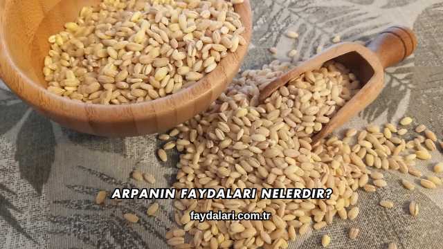 Arpanın Faydaları Nelerdir?