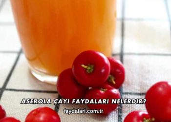 Aserola Çayı Faydaları Nelerdir?