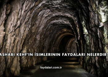 Ashabı Kehf'in İsimlerinin Faydaları Nelerdir?