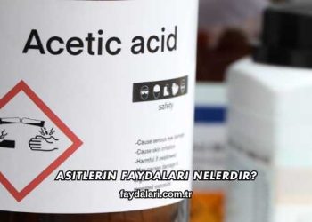 Asitlerin Faydaları Nelerdir?