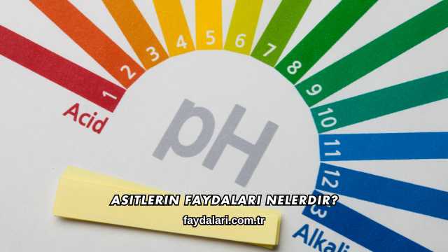 Asitlerin Faydaları Nelerdir?