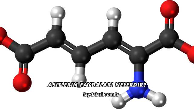 Asitlerin Faydaları Nelerdir?