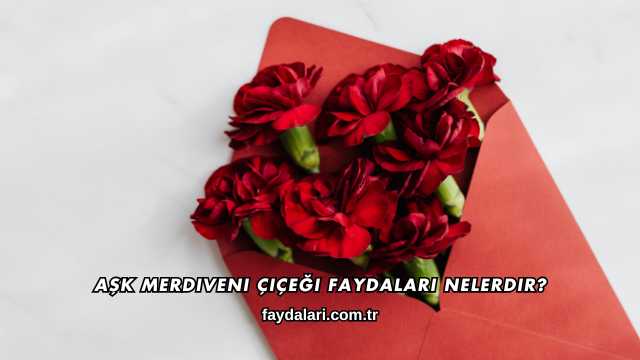 Aşk Merdiveni Çiçeği Faydaları Nelerdir?