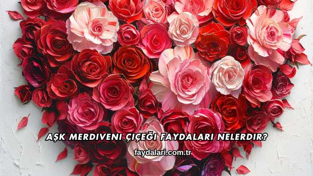 Aşk Merdiveni Çiçeği Faydaları Nelerdir?