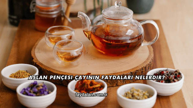 Aslan Pençesi Çayının Faydaları Nelerdir?