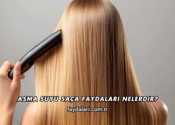 Asma Suyu Saça Faydaları Nelerdir?