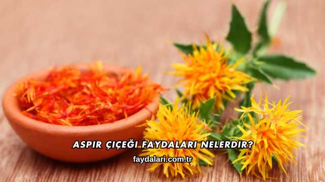 Aspir Çiçeği Faydaları Nelerdir?