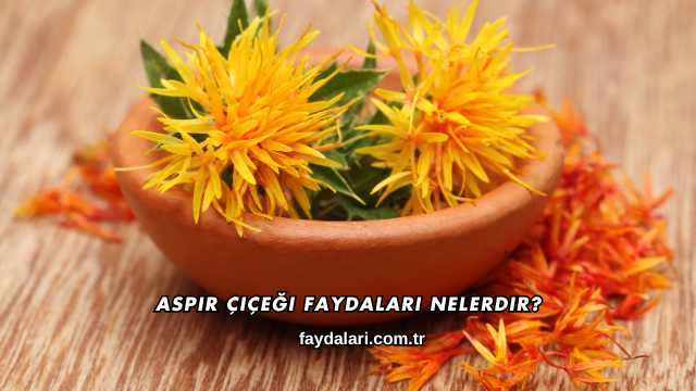 Aspir Çiçeği Faydaları Nelerdir?
