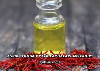 Aspir Tohumu Yağı Faydaları Nelerdir?