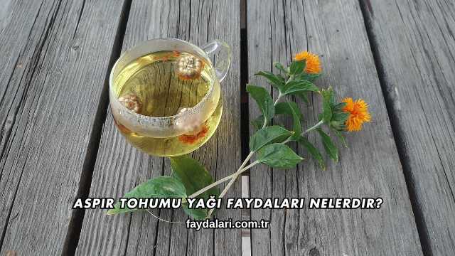 Aspir Tohumu Yağı Faydaları Nelerdir?