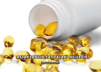 Astaksantin Faydaları Nelerdir?