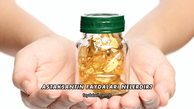 Astaksantin Faydaları Nelerdir?