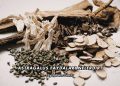 Astragalus Faydaları Nelerdir?