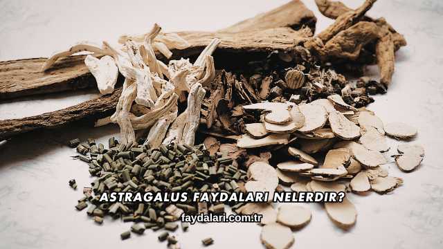 Astragalus Faydaları Nelerdir?