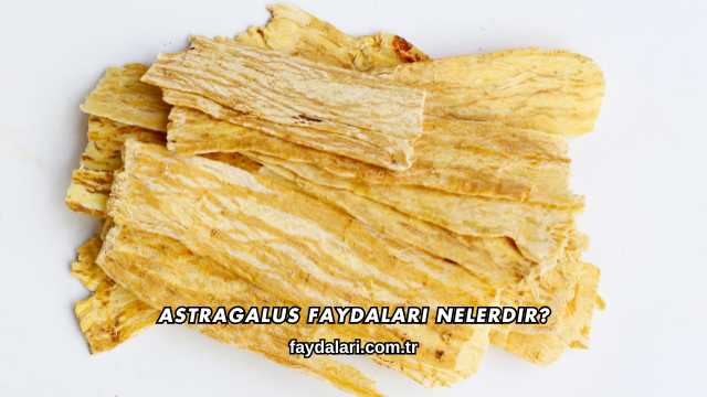 Astragalus Faydaları Nelerdir?