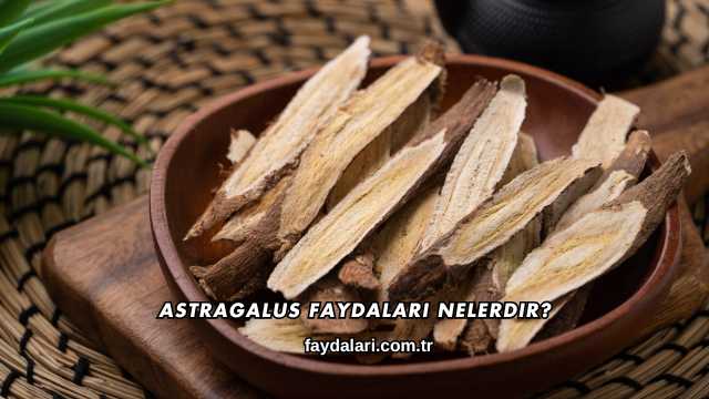 Astragalus Faydaları Nelerdir?