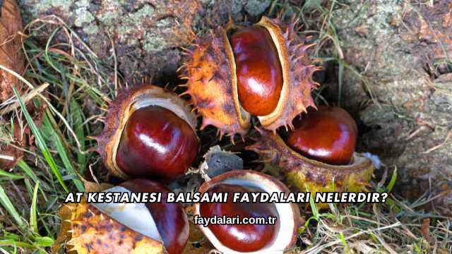 At Kestanesi Balsamı Faydaları Nelerdir?