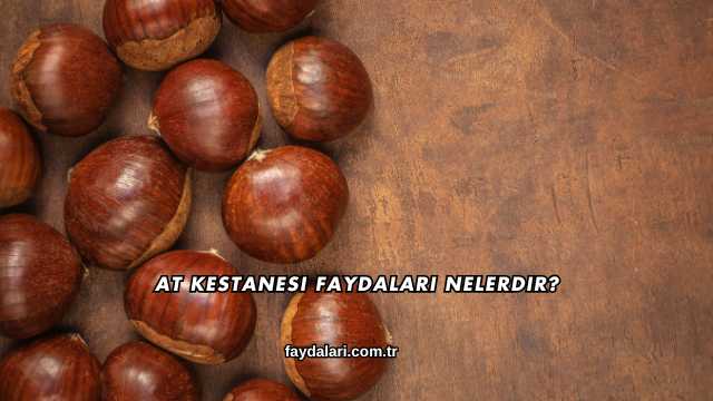 At Kestanesi Faydaları Nelerdir?