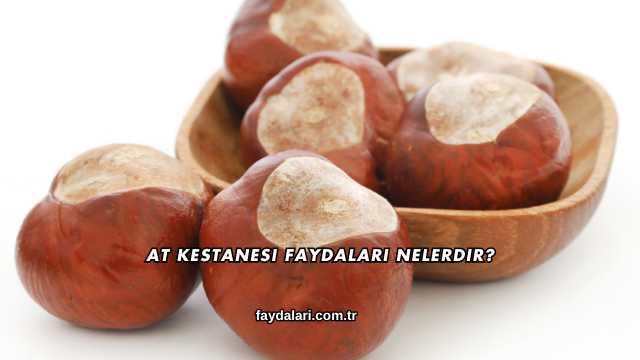 At Kestanesi Faydaları Nelerdir?