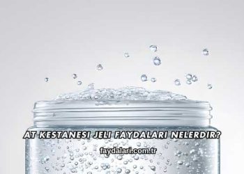 At Kestanesi Jeli Faydaları Nelerdir?