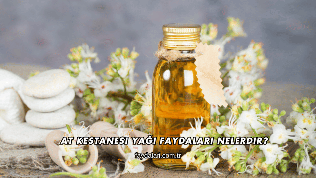 At Kestanesi Yağı Faydaları Nelerdir?