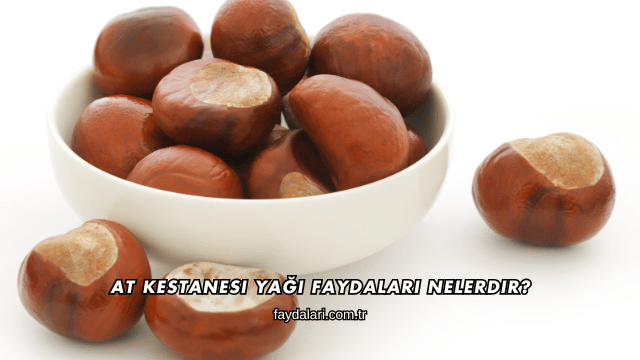 At Kestanesi Yağı Faydaları Nelerdir?