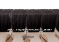 At Kılı Fırçası Faydaları Nelerdir?