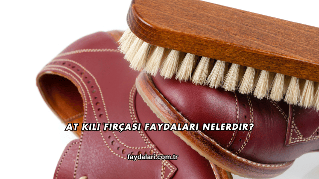 At Kılı Fırçası Faydaları Nelerdir?