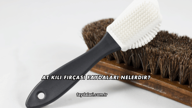 At Kılı Fırçası Faydaları Nelerdir?