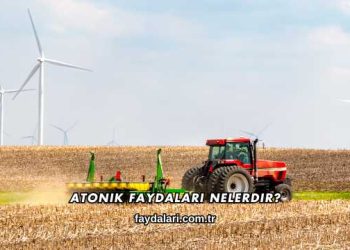 Atonik Faydalari Nelerdir?
