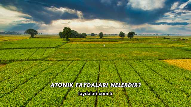 Atonik Faydalari Nelerdir?