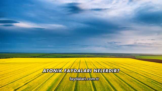 Atonik Faydalari Nelerdir?
