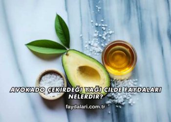 Avokado Çekirdeği Yağı Cilde Faydaları Nelerdir?