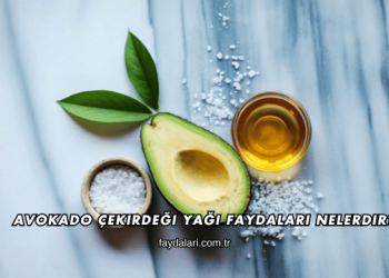 Avokado Çekirdeği Yağı Faydaları Nelerdir?