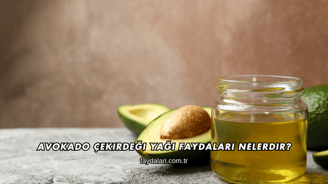 Avokado Çekirdeği Yağı Faydaları Nelerdir?