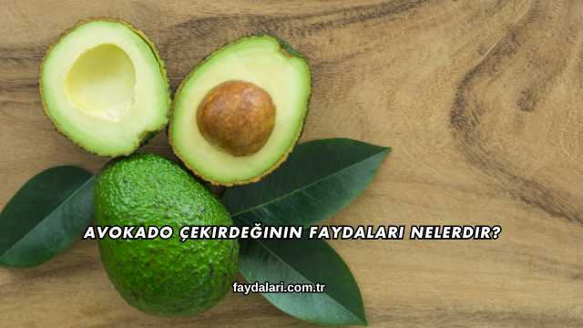 Avokado Çekirdeğinin Faydaları Nelerdir?