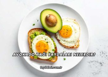 Avokado Yağı Faydaları Nelerdir?