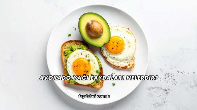 Avokado Yağı Faydaları Nelerdir?