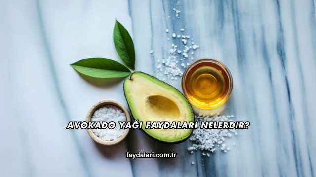 Avokado Yağı Faydaları Nelerdir?