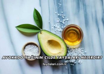 Avokado Yağının Cilde Faydaları Nelerdir?