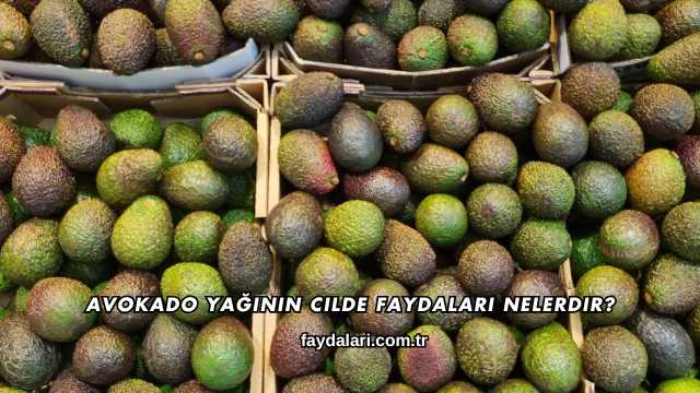 Avokado Yağının Cilde Faydaları Nelerdir?