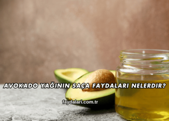 Avokado Yağının Saça Faydaları Nelerdir?