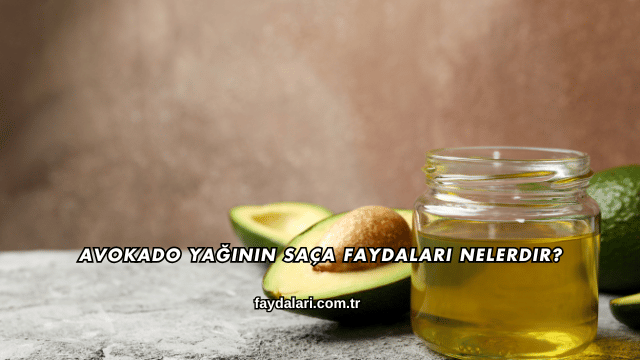 Avokado Yağının Saça Faydaları Nelerdir?
