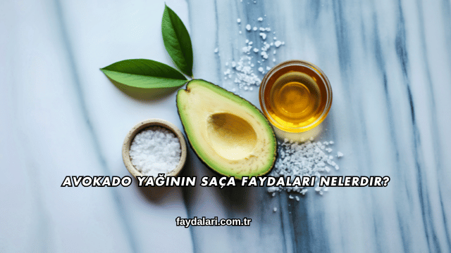 Avokado Yağının Saça Faydaları Nelerdir?