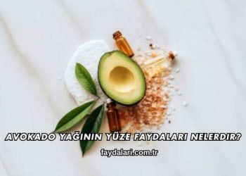 Avokado Yağının Yüze Faydaları Nelerdir?