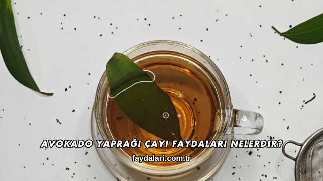 Avokado Yaprağı Çayı Faydaları Nelerdir?