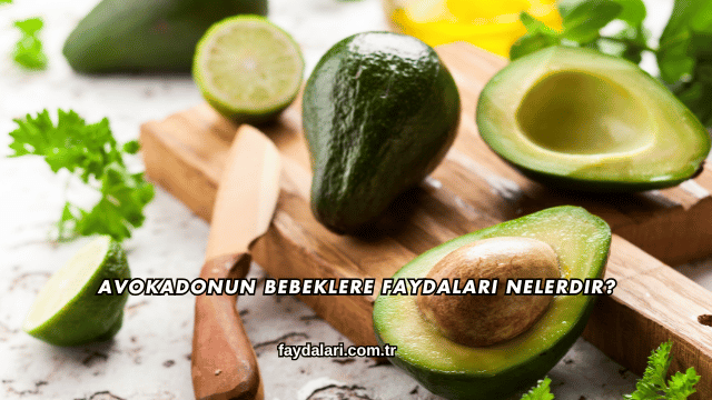 Avokadonun Bebeklere Faydaları Nelerdir?