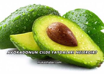 Avokadonun Cilde Faydaları Nelerdir?
