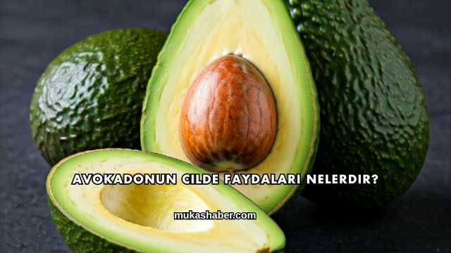 Avokadonun Cilde Faydaları Nelerdir?